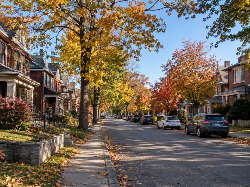 A Hamilton street of brick houses under October maples
